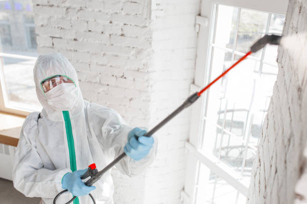 Best Industrial Mold Remediation  in Blaine, MN