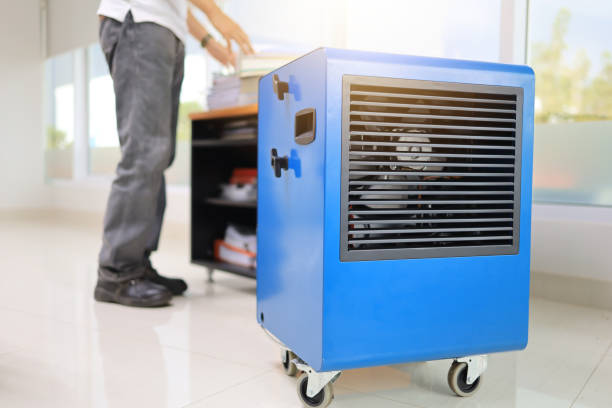  Blaine, MN Mold Removal Pros