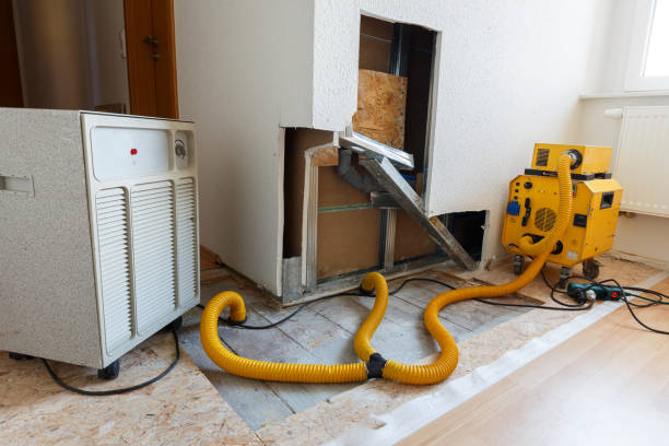 Best Residential Mold Inspection & Testing  in Blaine, MN