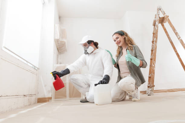 Forensic Mold Investigation in Blaine, MN