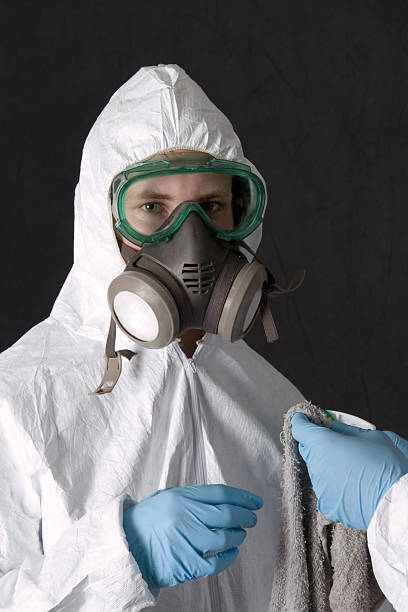 Best Mold Removal for HVAC Installations  in Blaine, MN